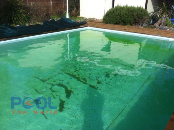 Đừng để tảo vàng xâm chiếm: Cách dùng Chlorine Cá Heo 70% để shock hồ bơi đúng chuẩn